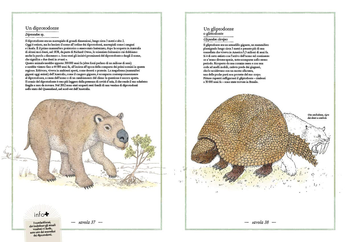 Libro - Inventario illustrato della preistoria  - Aladjidi, Virginie