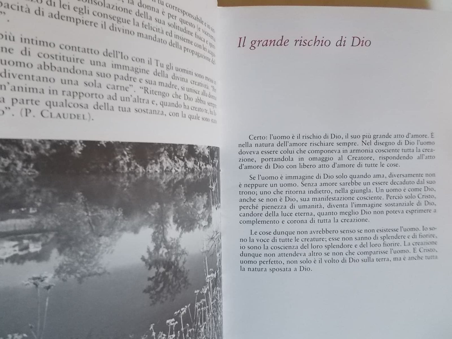 Amare