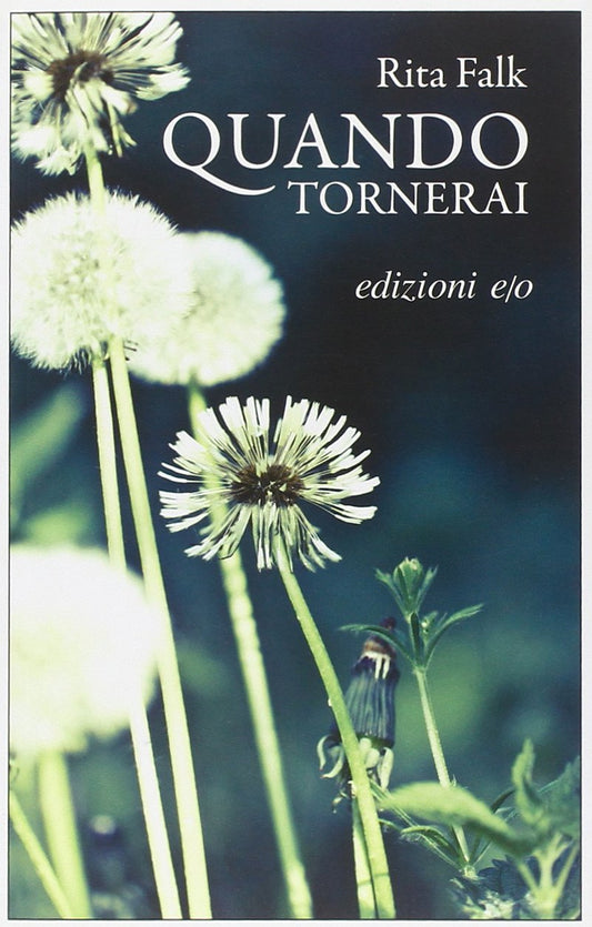 Libro - Quando tornerai - Falk, Rita
