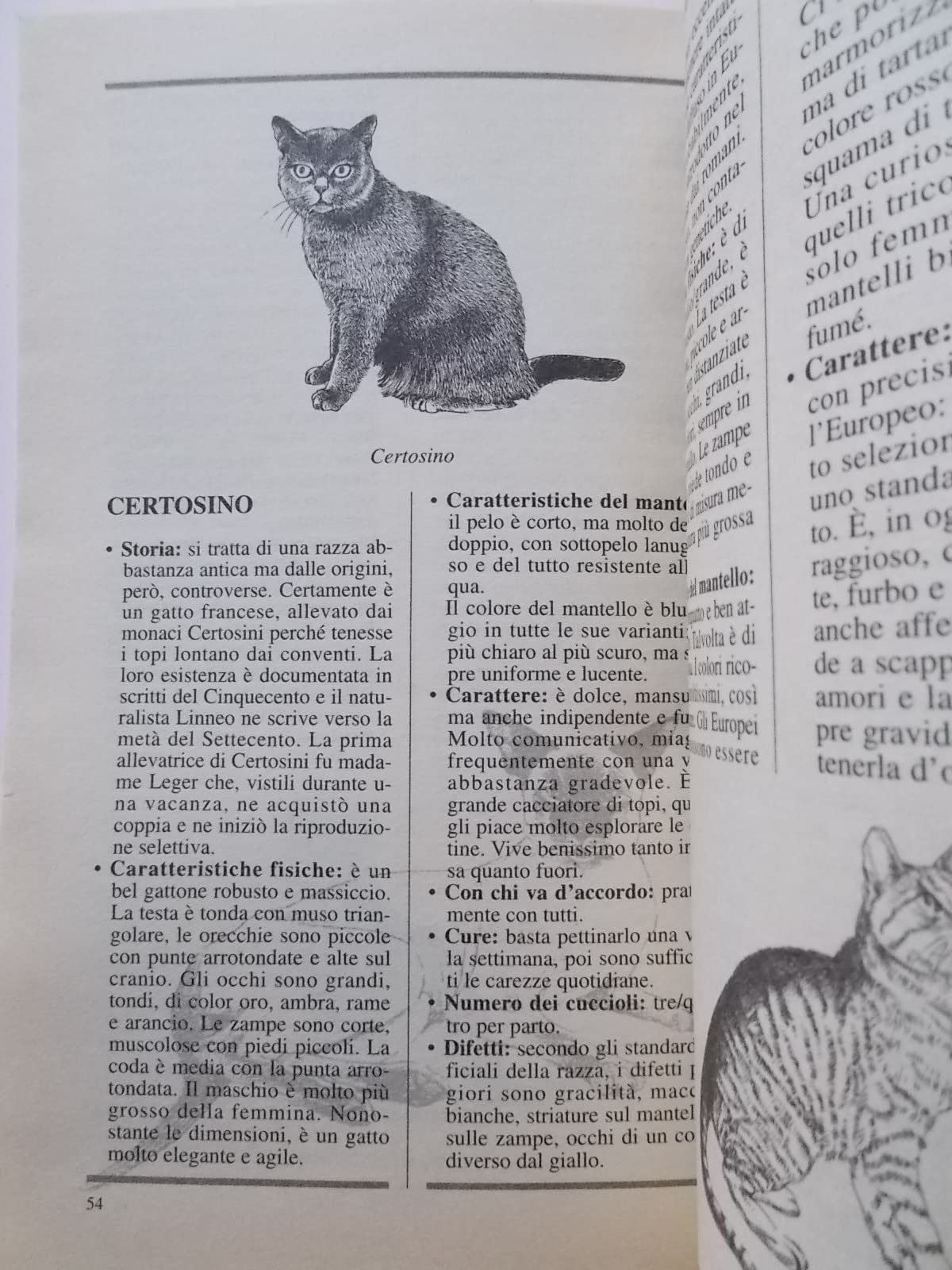 Il gatto. Come conoscerlo, curarlo, allevarlo