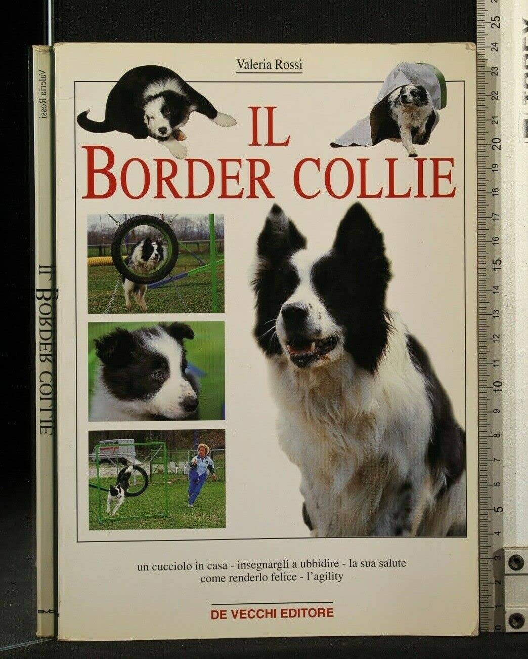 Libro - Border collie - Rossi, Valeria
