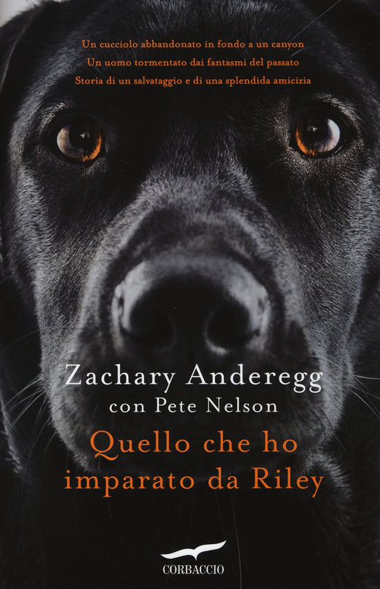 Libro - Quello che ho imparato da Riley - Anderegg, Zachary