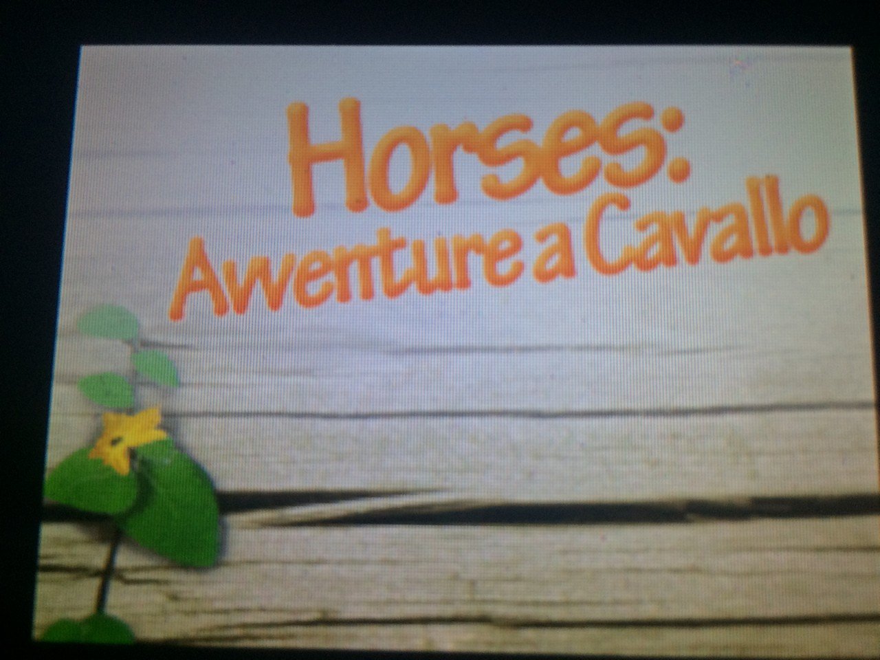 Horses - Avventure A Cavallo