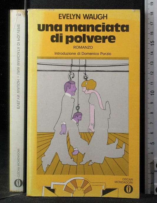Libro - Una manciata di polvere
