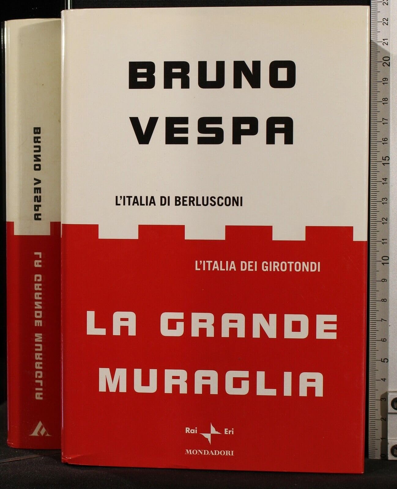La grande muraglia. L'Italia di Berlusconi. L'Italia dei girotondi