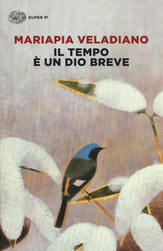 Libro - Il tempo è un dio breve - Veladiano, Mariapia