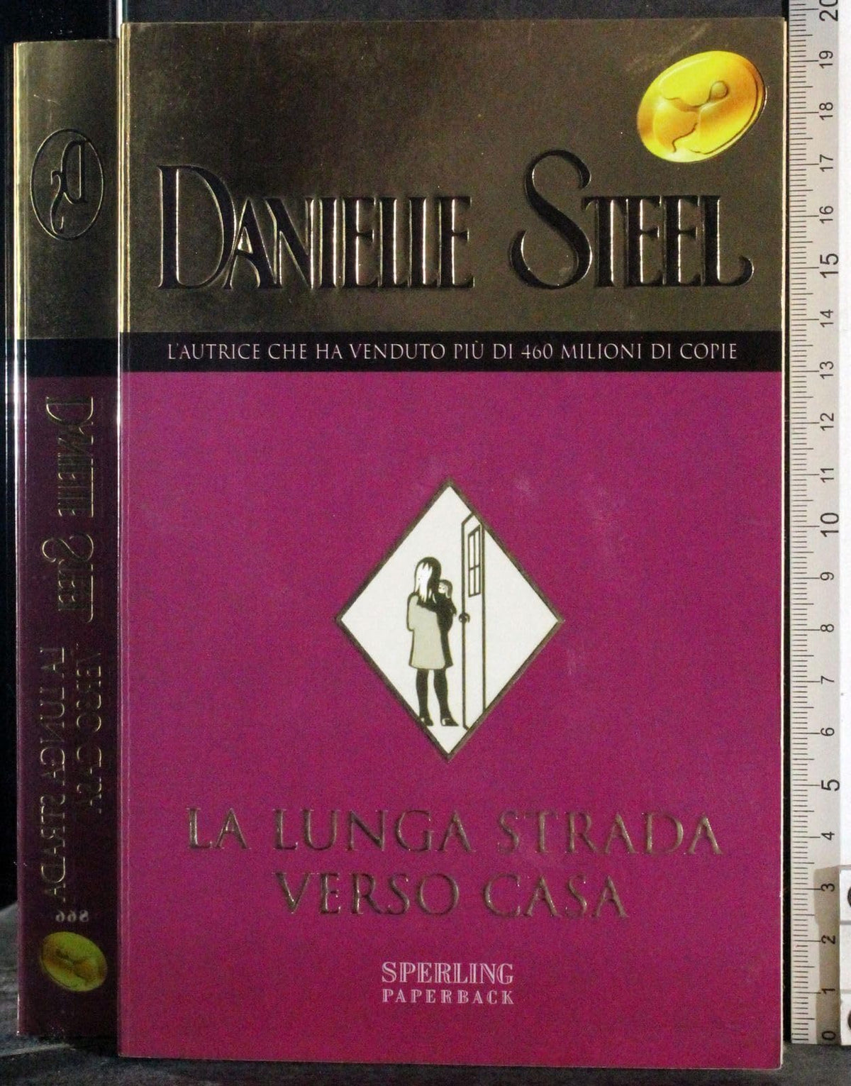 Libro - La lunga strada verso casa - Steel, Danielle