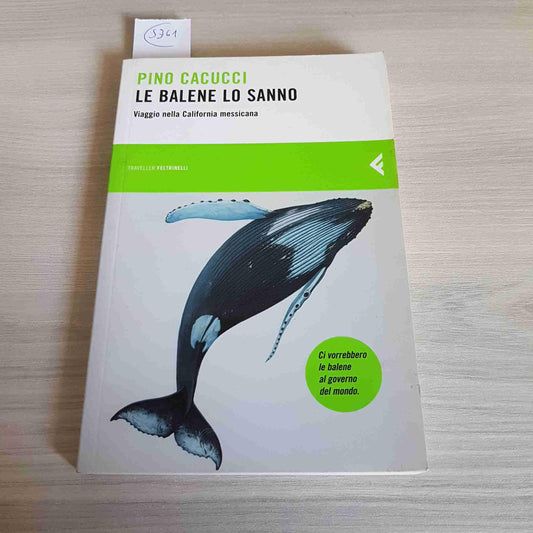 Libro - Le balene lo sanno Viaggio nella California  - Cacucci, Pino