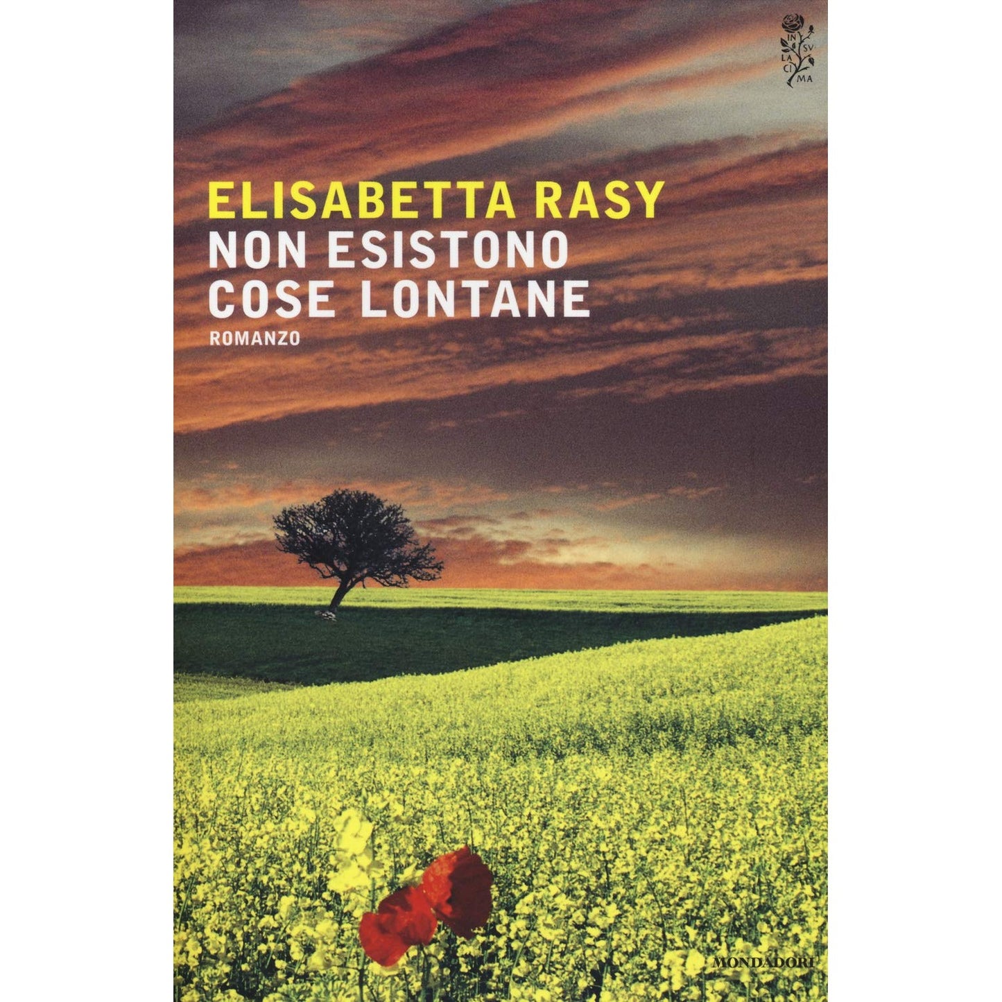 Libro - Non esistono cose lontane - Rasy, Elisabetta