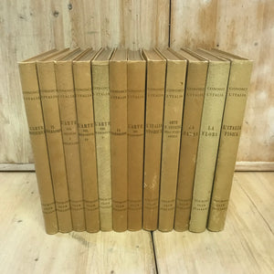 Box set of Marian shrines in the Bergamo area 2 volumes