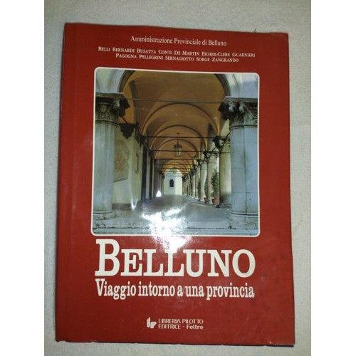 Libro - BELLUNO VIAGGIO INTORNO A UNA PROVINCIA - BELLI, BER