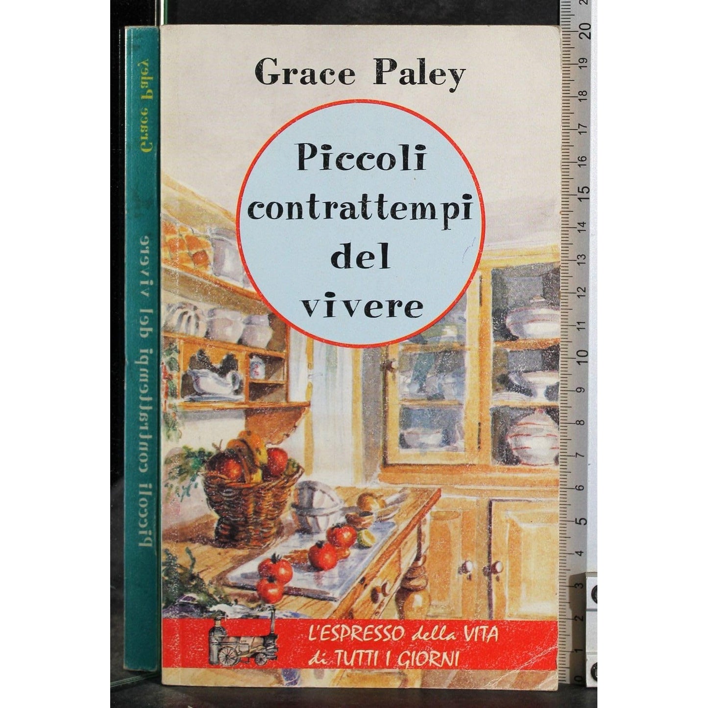 Libro - Piccoli contrattempi del vivere - Paley, Grace