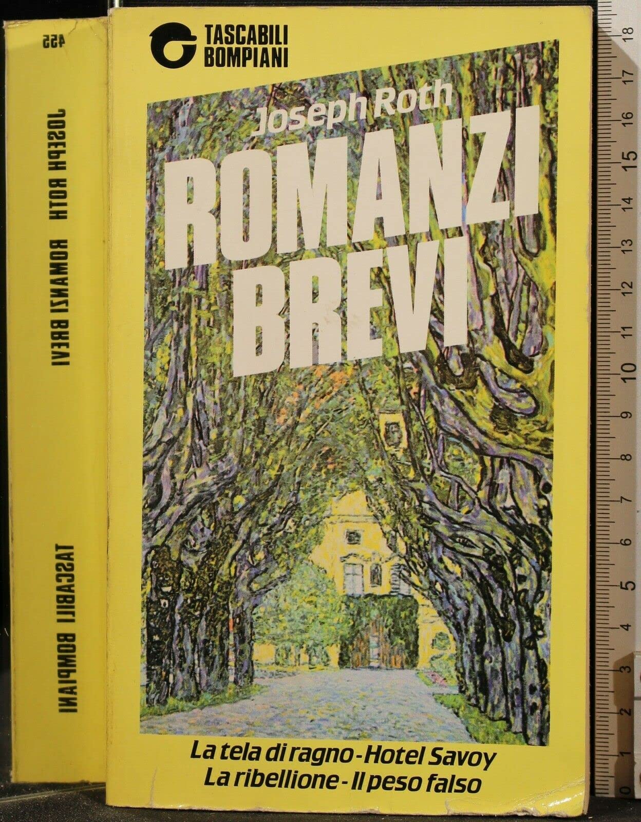 Romanzi brevi