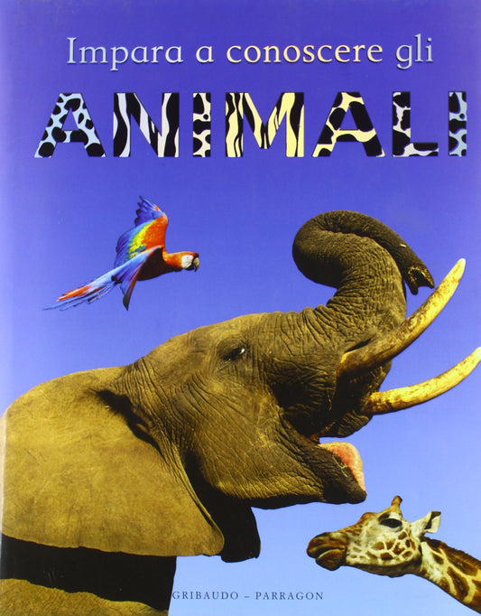 Libro - Impara a conoscere gli animali Ediz illustrata - Morgan, Sa