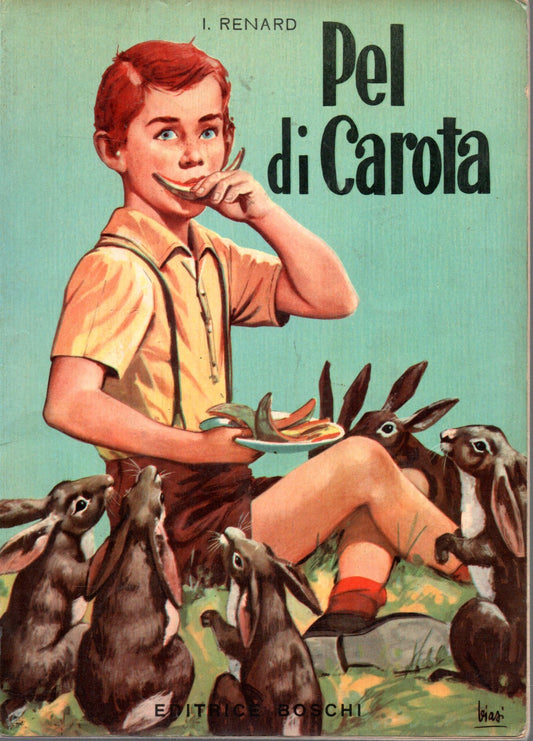 Libro - Pel di carota J Renard versione di De Mattia illustrazioni S