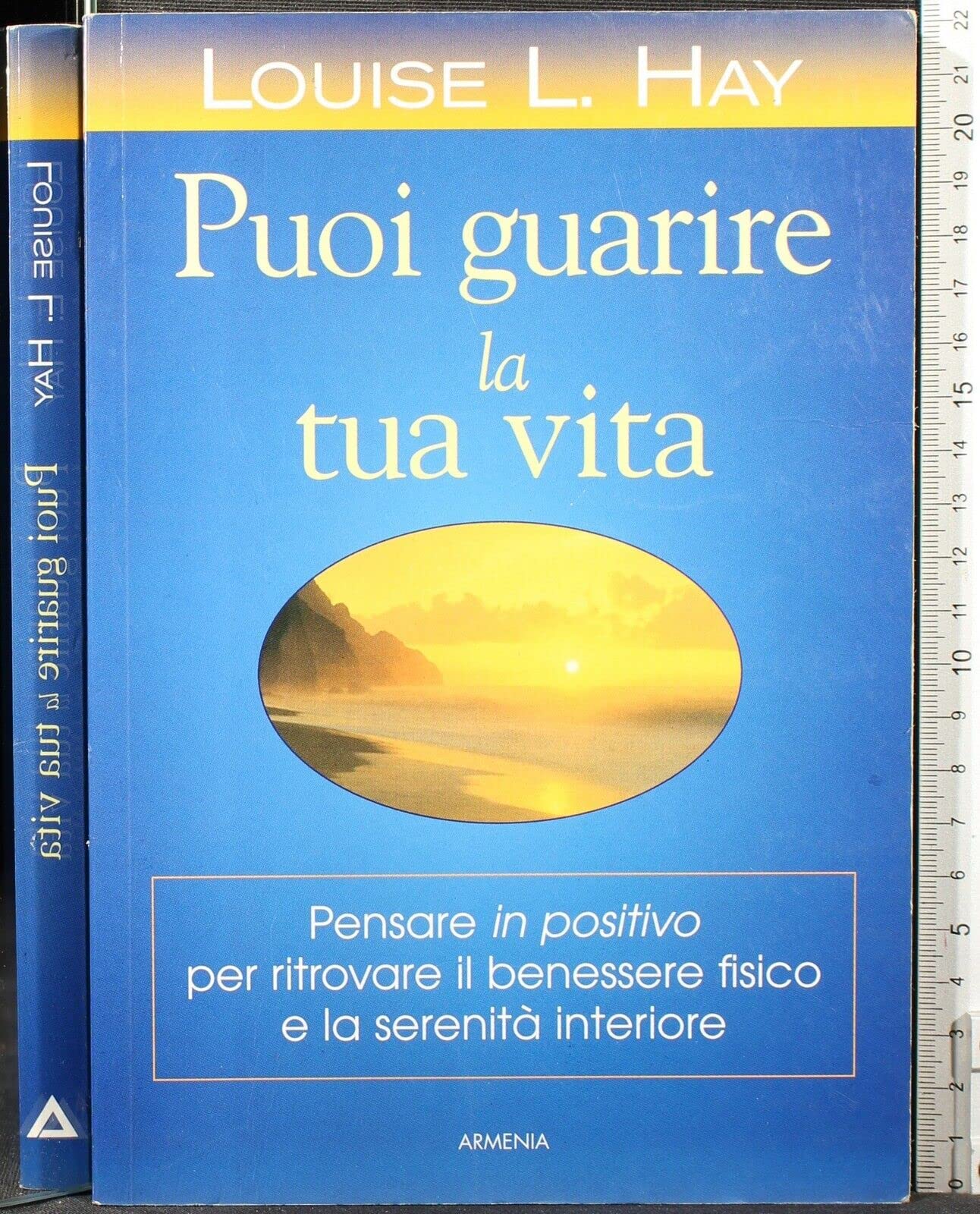 Puoi guarire la tua vita