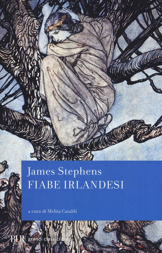 Libro - Fiabe irlandesi - Stephens, James