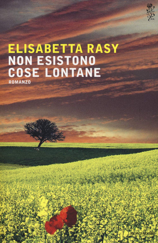 Libro - Non esistono cose lontane - Rasy, Elisabetta