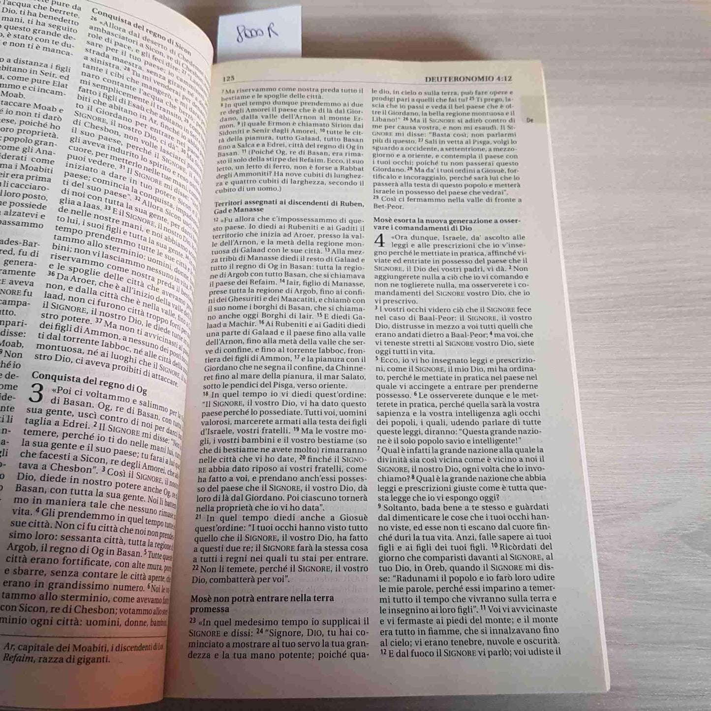 Bibbia Nuova Riveduta : italien, standard brochée