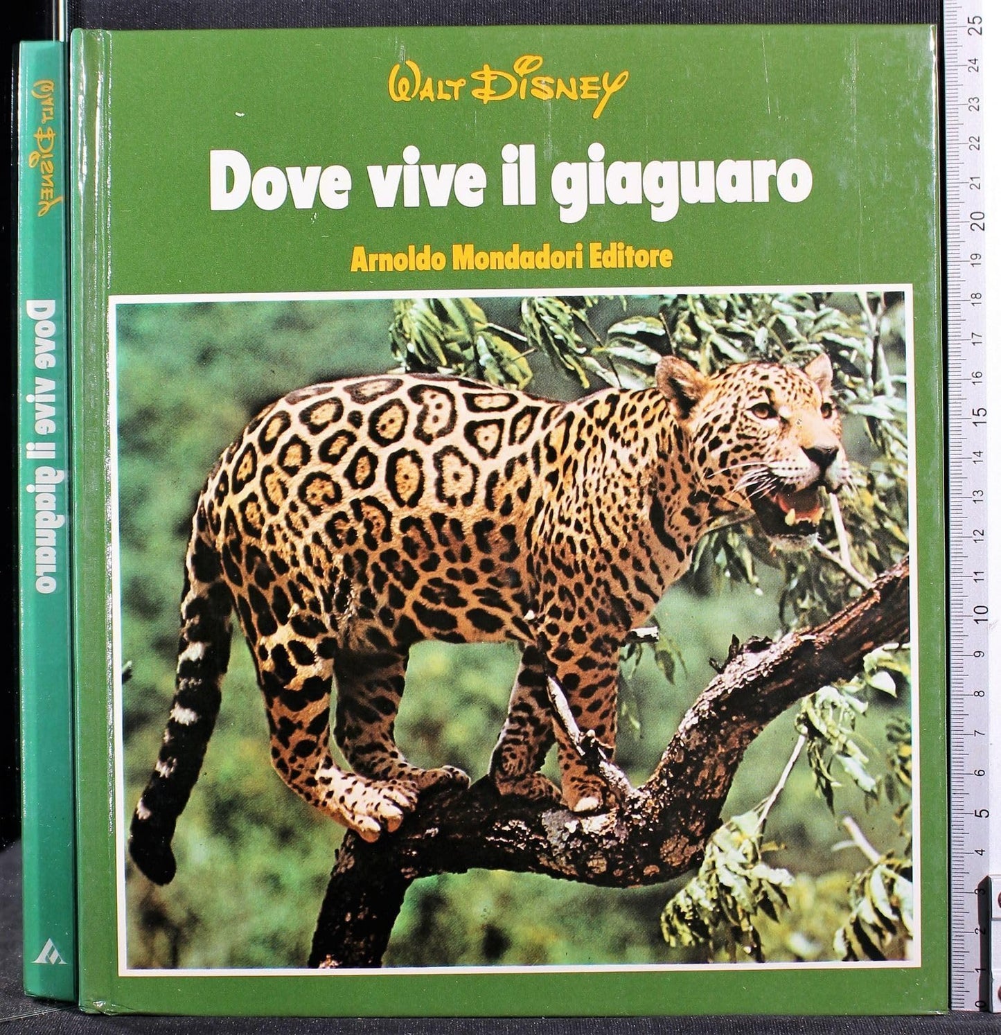 Disney Natura 4 Vol