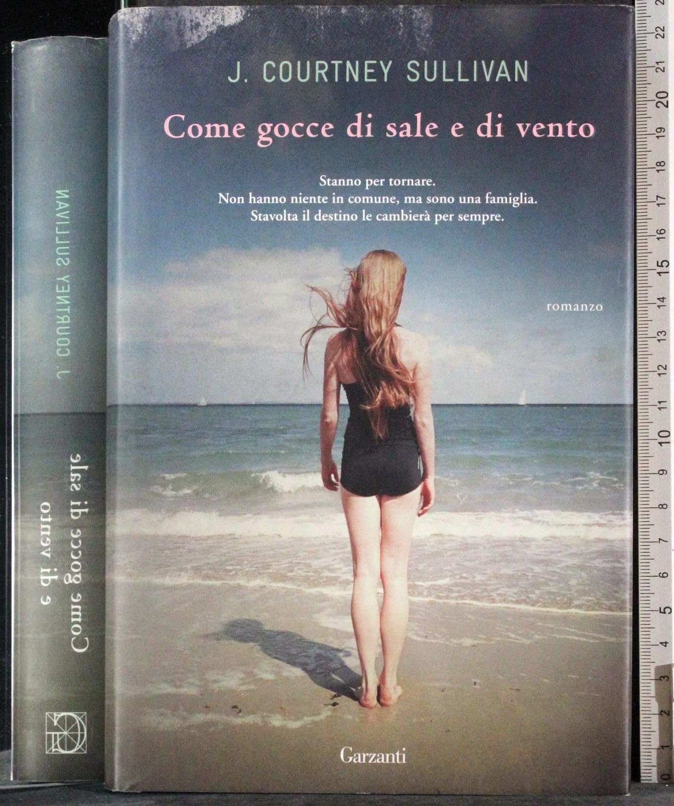 Come gocce di sale e di vento