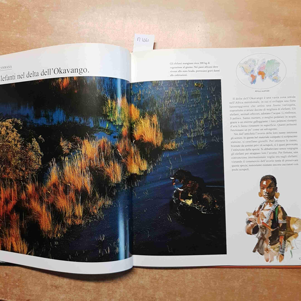 Libro - La terra raccontata ai ragazzi Ediz  - Arthus-Bertrand, Yann