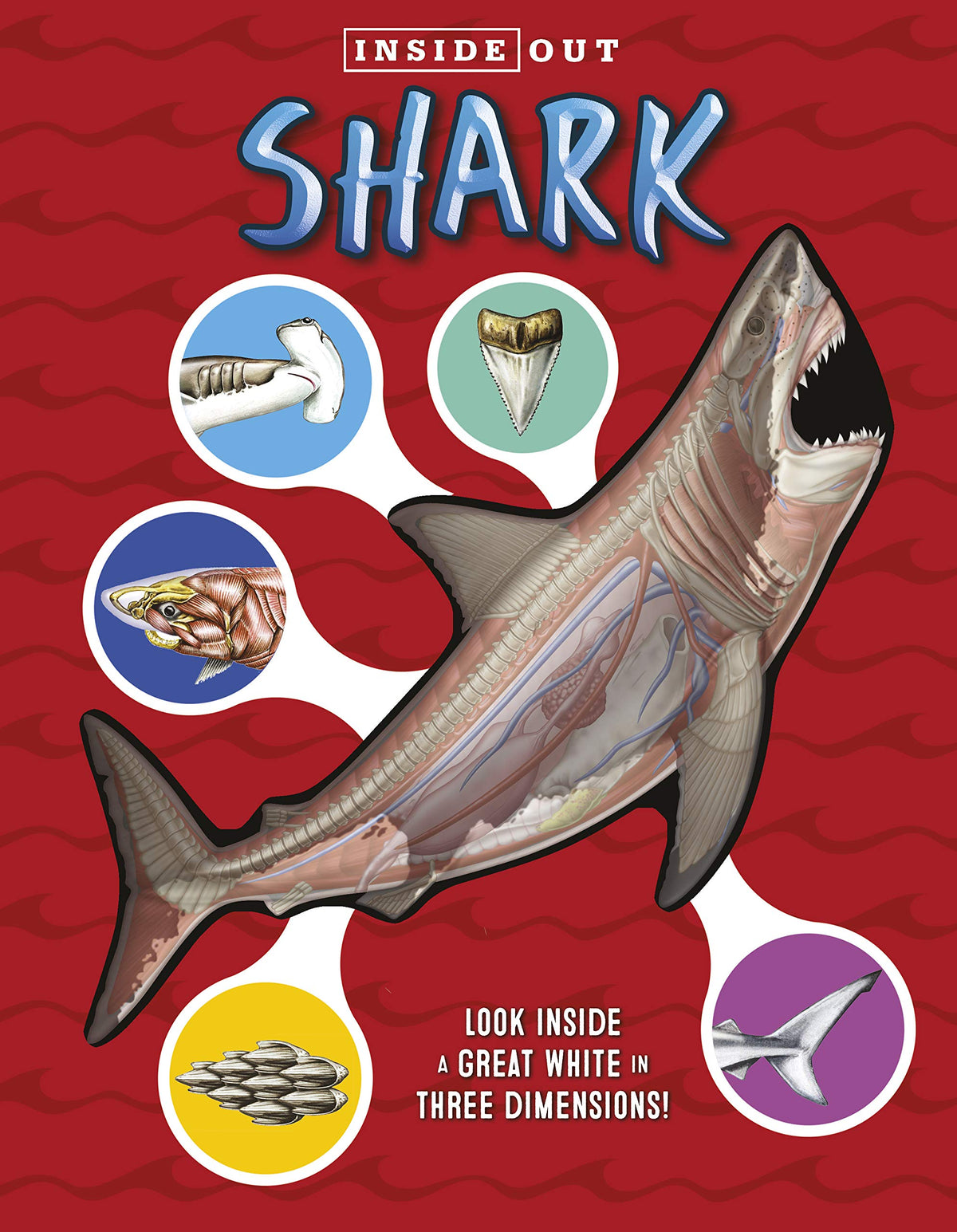 Libro - Inside Out Shark: Look inside a great - Gordon, David George