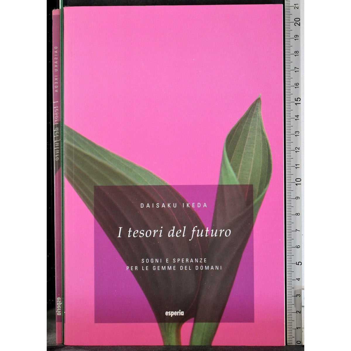 Libro - I tesori del futuro - Ikeda, Daisaku