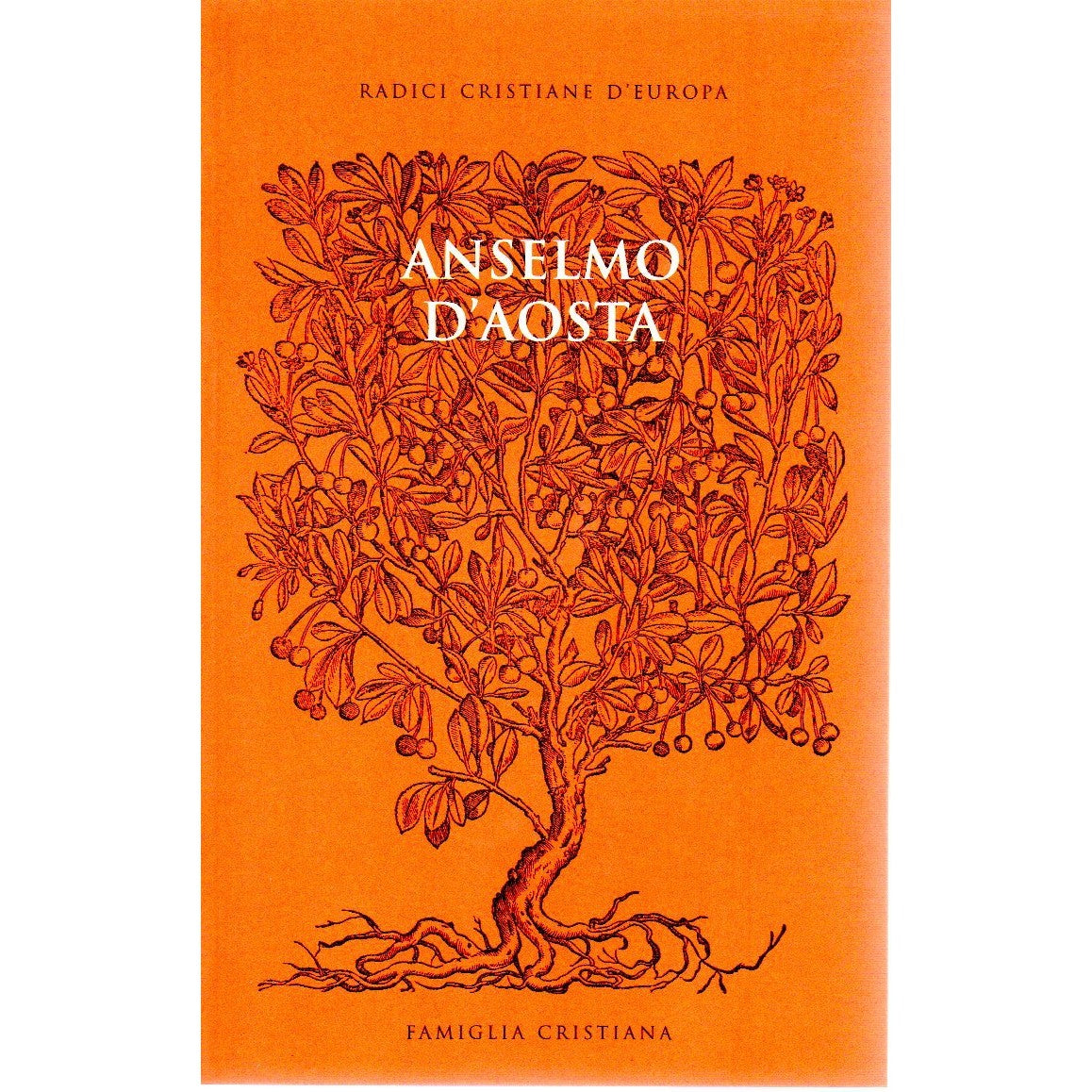 Libro - Anselmo D'Aosta Radici cristiane d'Europa Famiglia Cristiana