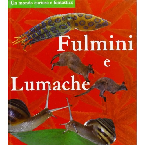 Book - Lightning and slugs