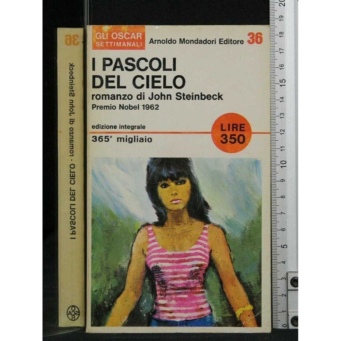 Libro - I pascoli del cielo - Jphn, Steinbeck