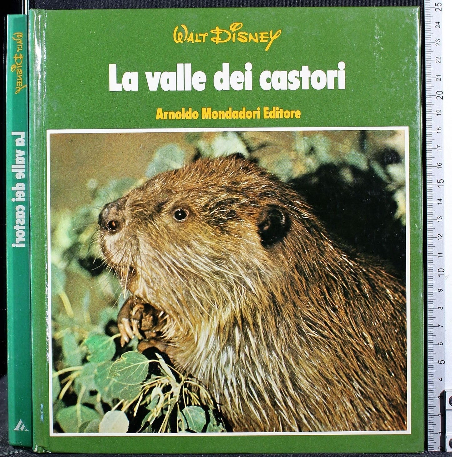 Disney Natura 4 Vol