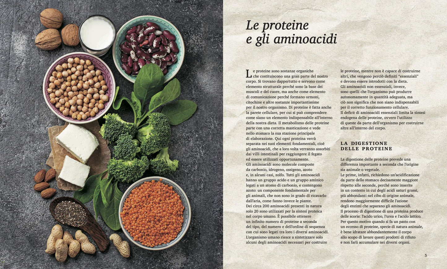 Legumi e altre proteine vegetali. Sane e gustose ricette in sintonia con la natura
