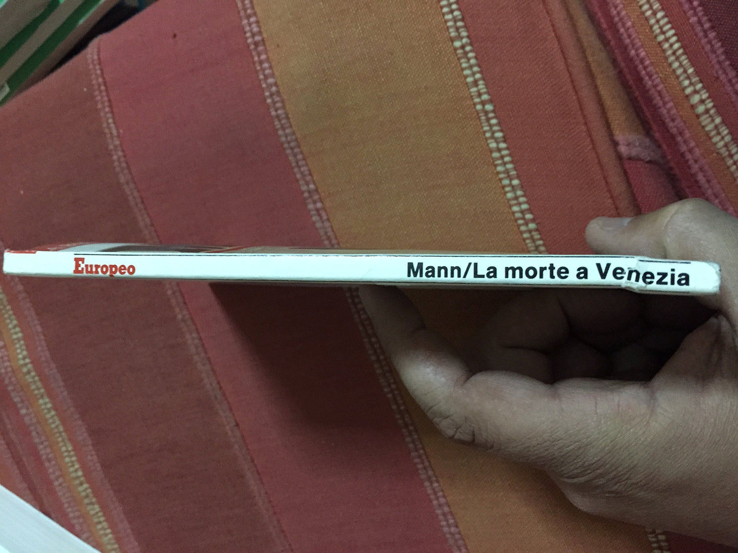 La Morte A Venezia Di Thomas Mann (La Biblioteca Dell'Europeo)