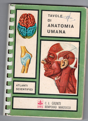 TAVOLE DI ANATOMIA UMANA.