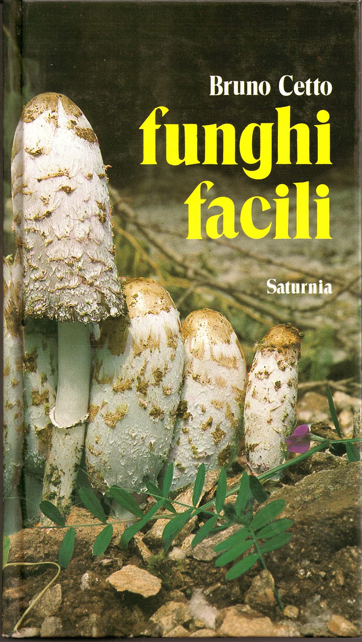 Libro - Funghi facili - Bruno, Cetto