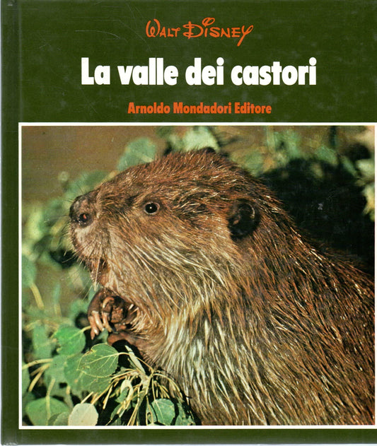 Libro - La valle dei castori Walt Disney Mondadori 1975
