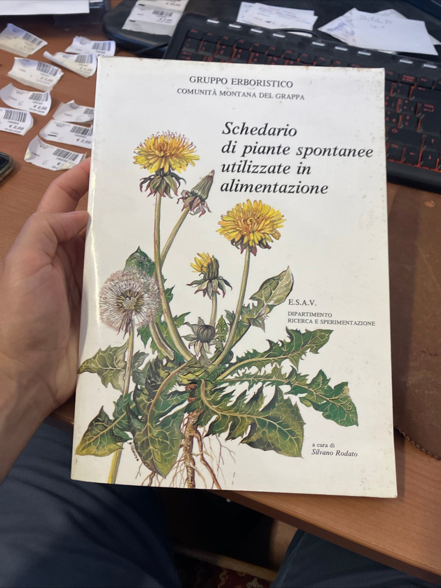 Libro – Schedario di piante spontanee utilizzate in alimentazione – Rodato, Silvano