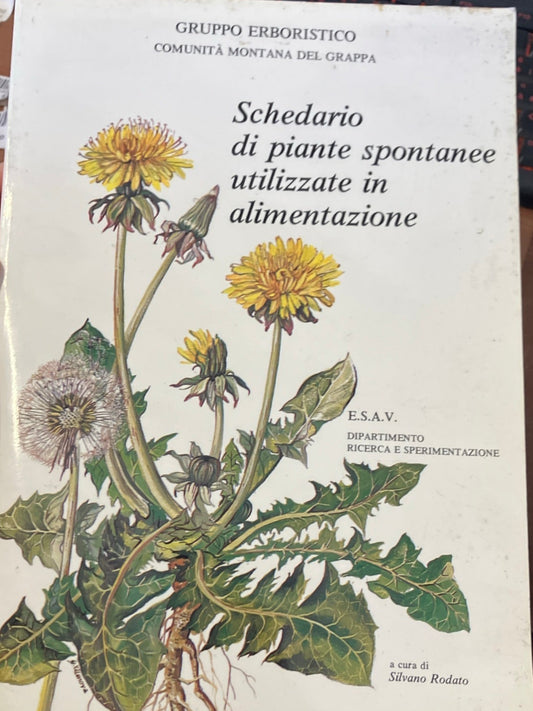 Libro – Schedario di piante spontanee utilizzate in alimentazione – Rodato, Silvano