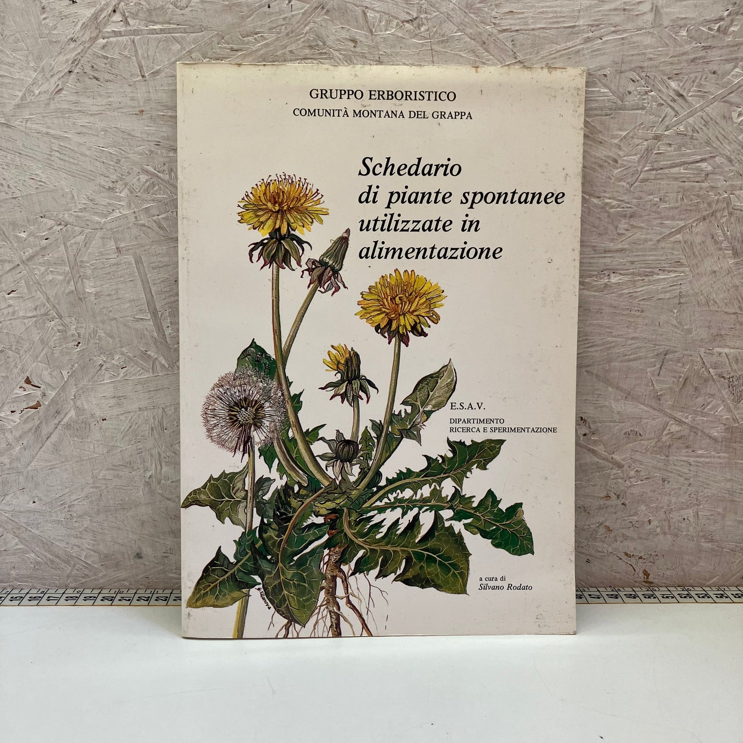 Libro – Schedario di piante spontanee utilizzate in alimentazione – Rodato, Silvano