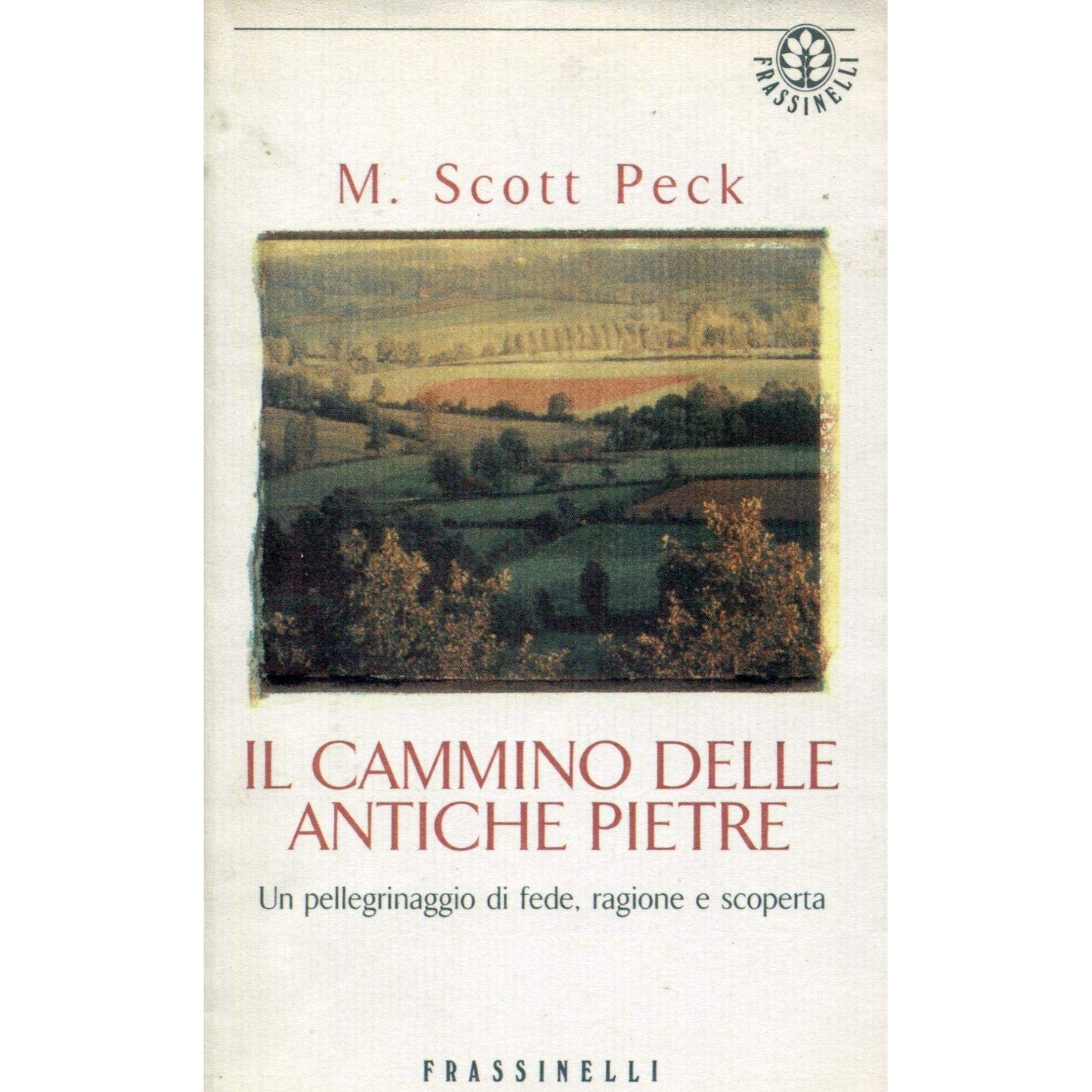Libro - Il cammino delle antiche pietre Un pellegri - Peck, M. Scott