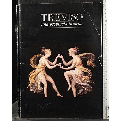 Libro - Treviso una provincia intorno - AA.VV