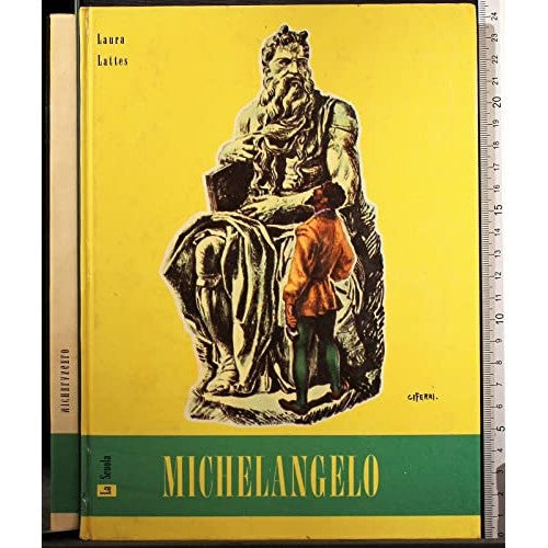Libro - Michelangelo - Laura, Lattes