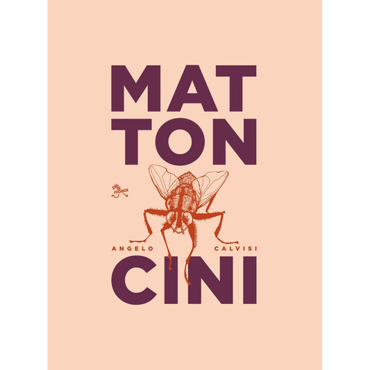 Libro - Mattoncini - Calvisi, Angelo