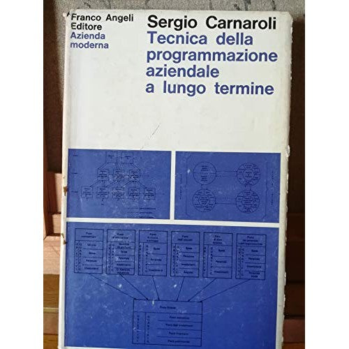 Book - Long-term business planning technique - S. Carnaroli