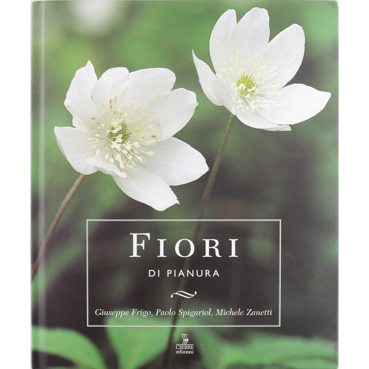 Libro - Fiori di pianura - Zanetti, Michele