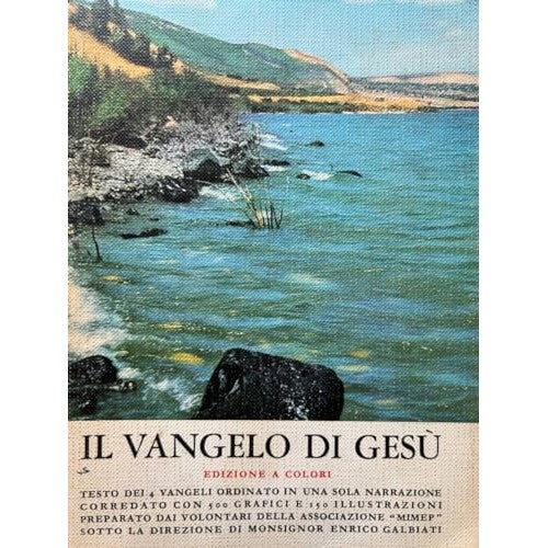 Libro - Il Vangelo di Gesù: Edizione a colori - AA VV