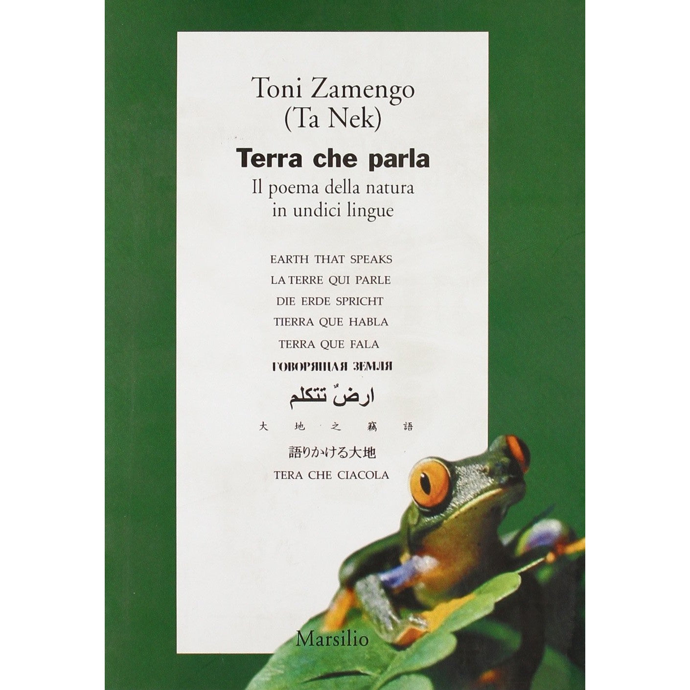 Libro - Terra che parla - Zamengo, Toni
