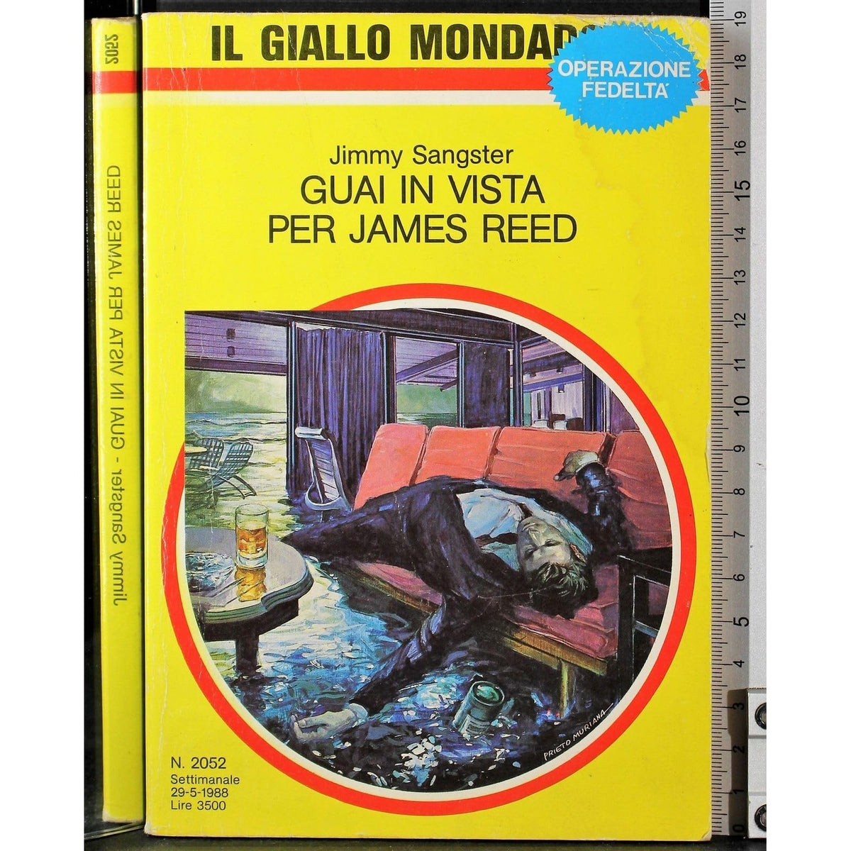 Libro - Guai in vista per James Reed - Jimmy, Sangster