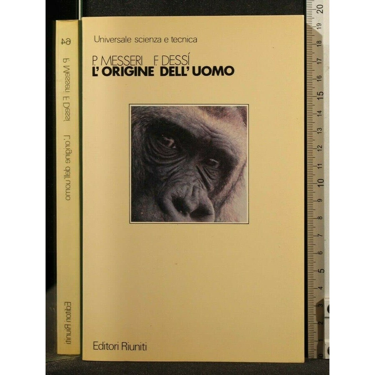Libro - L'origine dell'uomo - Messeri, - Dessi